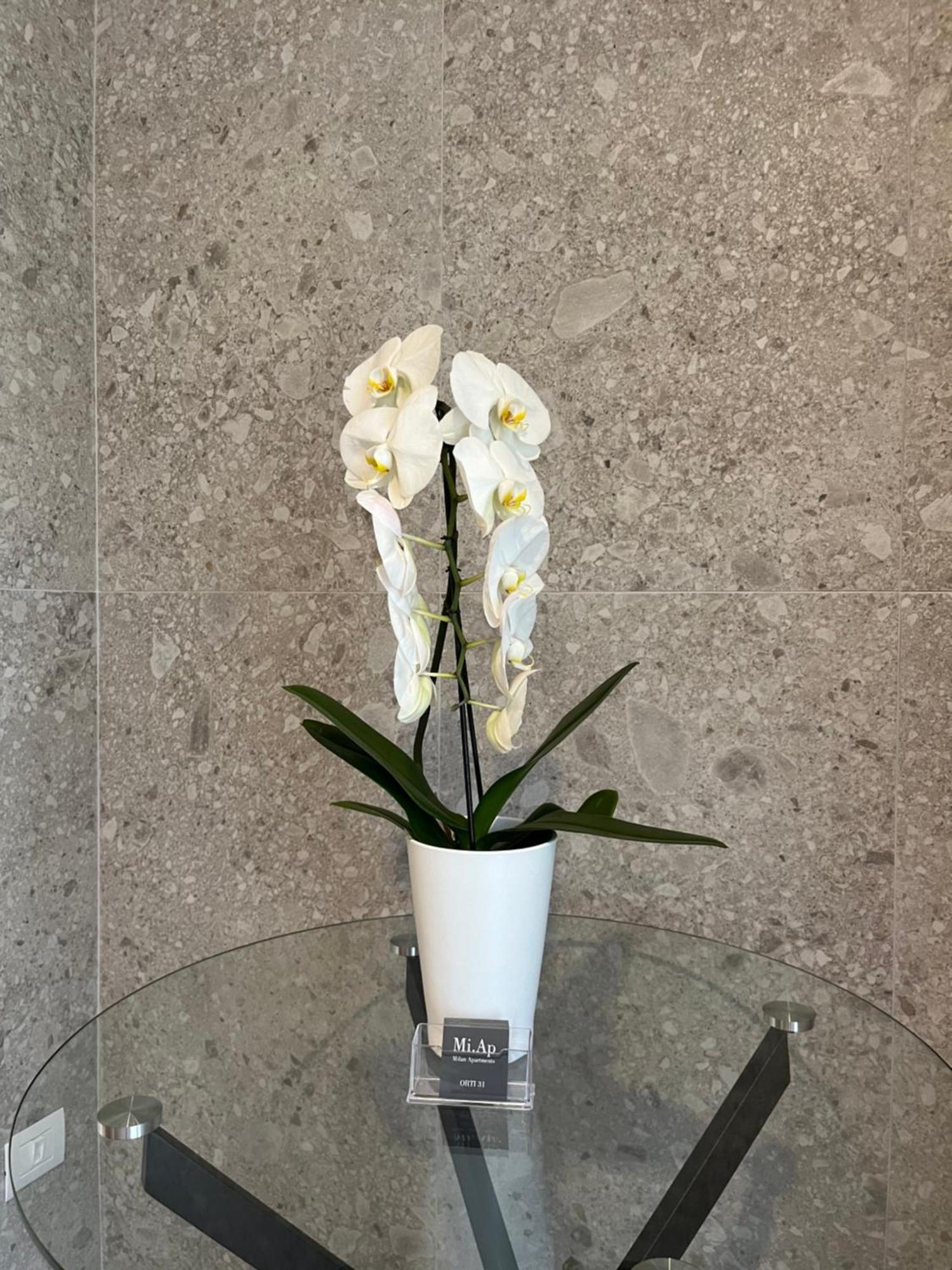 Miap Orti 31 Apartment Milano Ngoại thất bức ảnh
